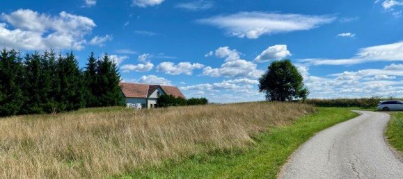 Terrain à Zwettl-Niederosterreich, Austria 3665m² No. 165165 4