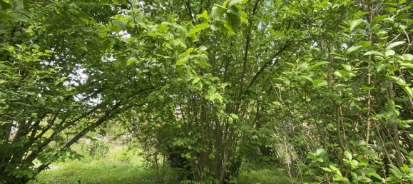 Grundstück in Mundolsheim, France, Nr. 65814 7