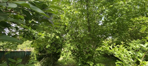 Grundstück in Mundolsheim, France, Nr. 65814 6