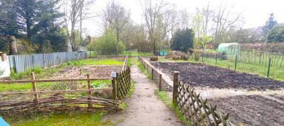 5-Zimmer Stadthaus in Osnabrück, Germany, Nr. 344635 2