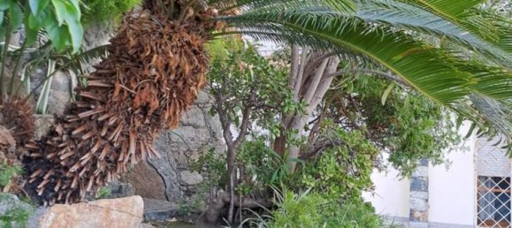 4 bedrooms Apartment in Varazze, Italy No. 381634 14