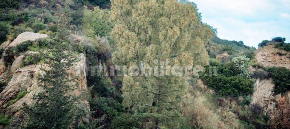 2 bedrooms Apartment in Brancaleone, Italy No. 114415 27