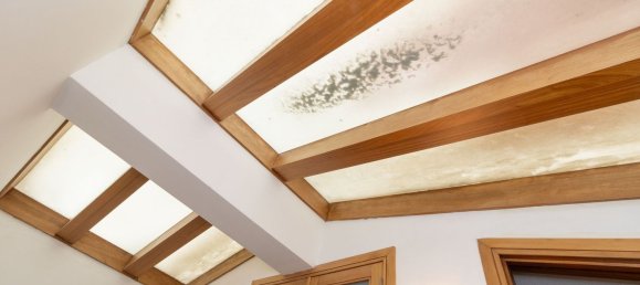 4 bedrooms House in Palmeira, Portugal No. 161491 11