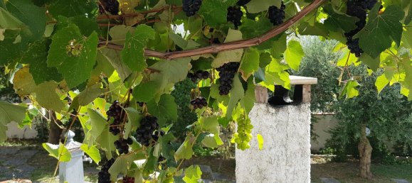 5 rooms House in San Lucido, Italy No. 251157 29