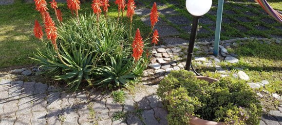 5 rooms House in San Lucido, Italy No. 251157 28