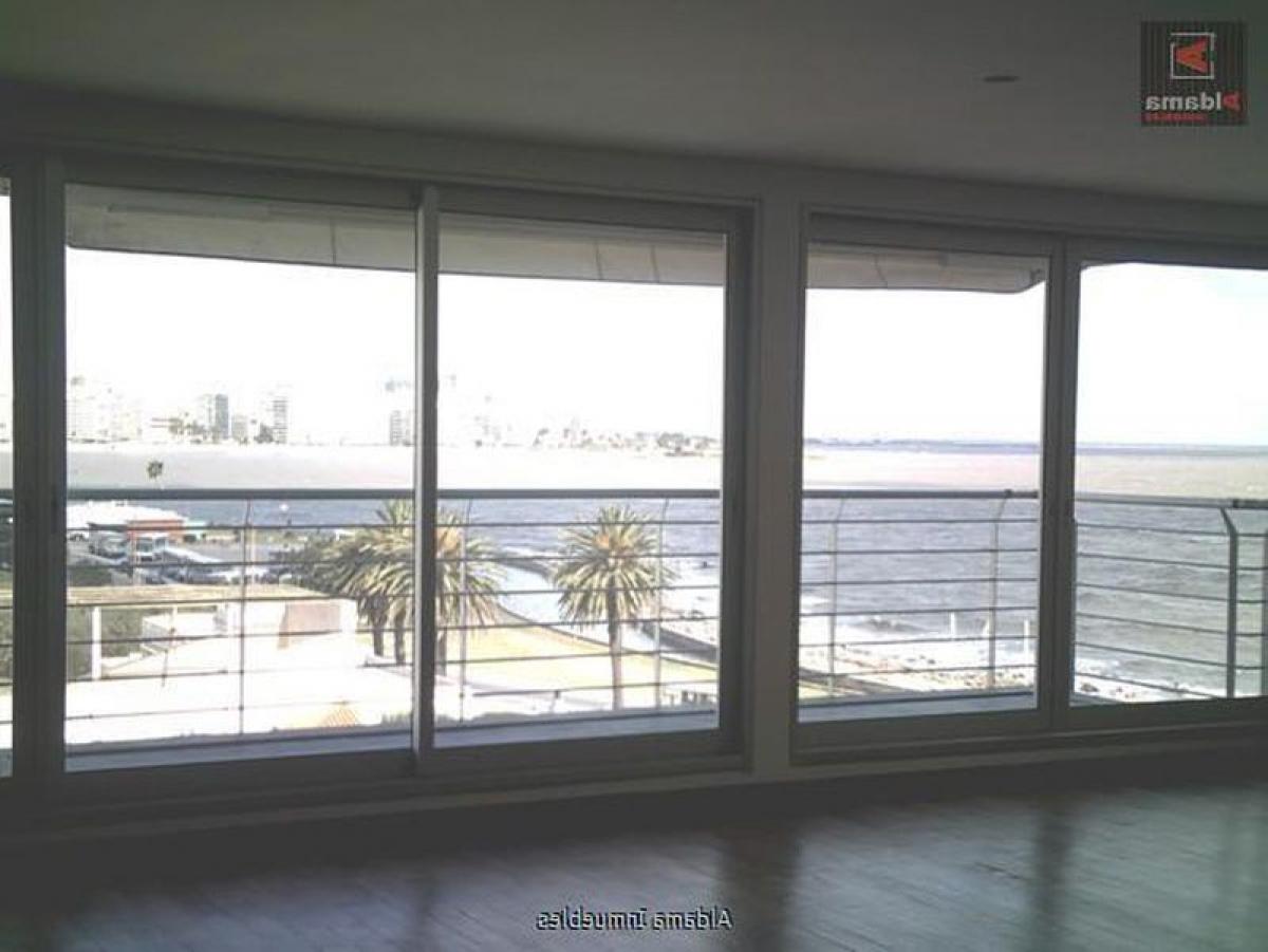 3 bedrooms Apartment in Montevideo, Uruguay No. 2338