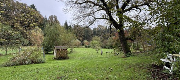 5 rooms House in Grosswilfersdorf, Austria No. 31667 42