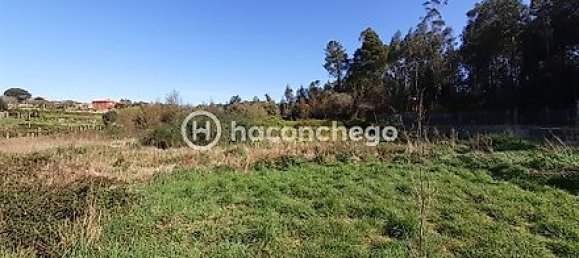 Земельный участок 5250м² в Барселуш, Португалия № 29174 2