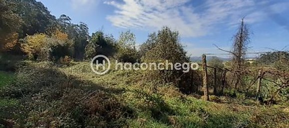 Земельный участок 5250м² в Барселуш, Португалия № 29174 8