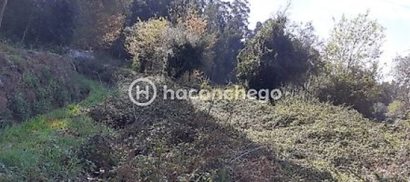 Земельный участок 5250м² в Барселуш, Португалия № 29174 5