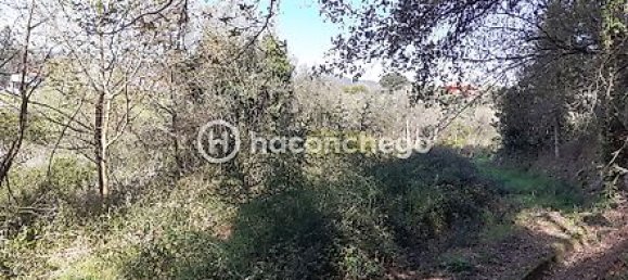 Земельный участок 5250м² в Барселуш, Португалия № 29174 4