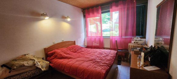 1 Schlafzimmer Wohnung in Sao Pedro do Sul, Portugal, Nr. 190364 8