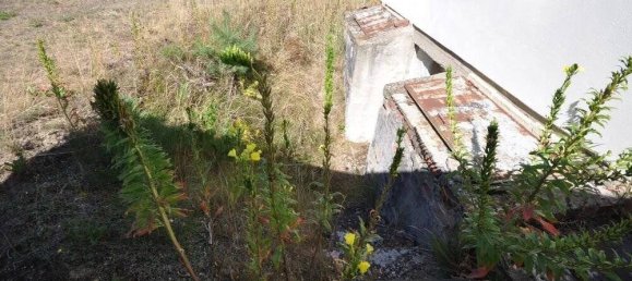 Entrepôt à Gorlitz, Germany 20m² No. 164483 22