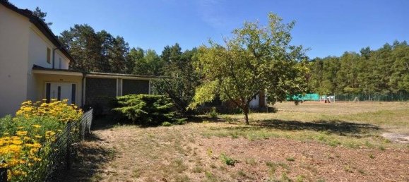 Entrepôt à Gorlitz, Germany 20m² No. 164483 4