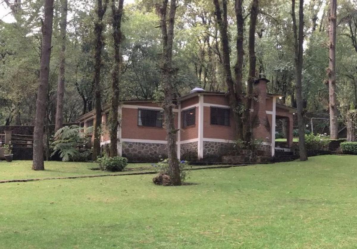 4 bedrooms House in Morelos, Mexico No. 175592