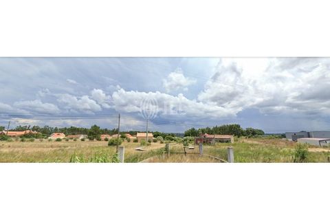  قطعة أرض في Alenquer, Portugal 10000متر مربع رقم 255404