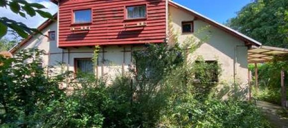 Land in Oder-Spree, Germany No. 60012 3