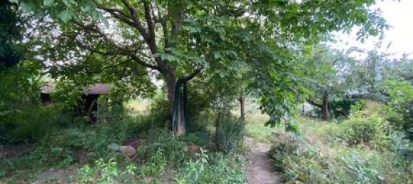 Land in Oder-Spree, Germany No. 60012 2