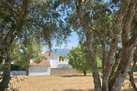 3 غرف نوم منزل في Sintra, Portugal رقم 260907