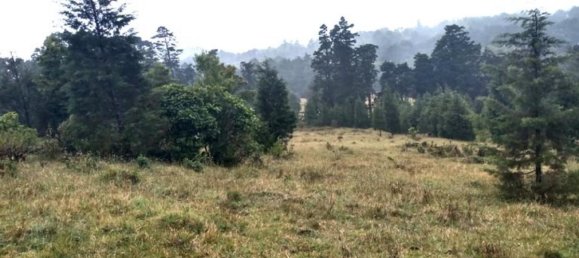 Grundstück in San Rafael, Costa Rica, Nr. 1415 3