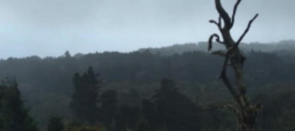 Grundstück in San Rafael, Costa Rica, Nr. 1415 6