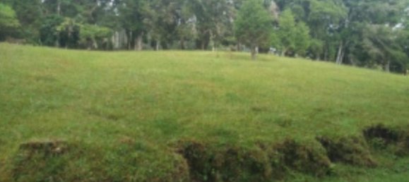 Grundstück in San Rafael, Costa Rica, Nr. 1415 5