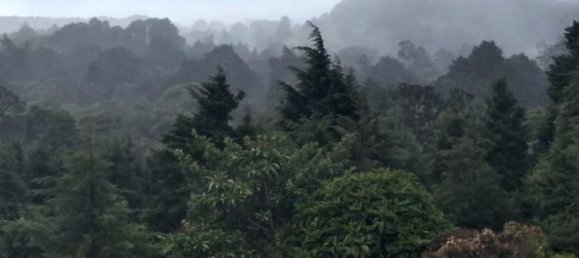 Grundstück in San Rafael, Costa Rica, Nr. 1415 2