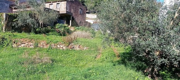 Дом с 3 спальнями в Пенела, Португалия № 165336 3