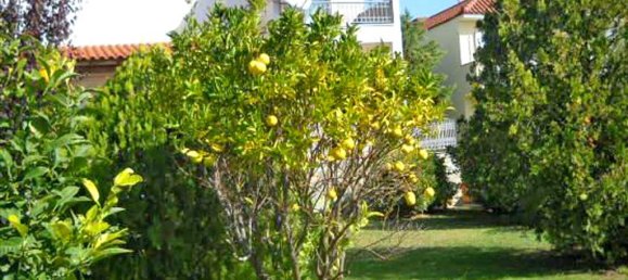 5 Schlafzimmer Gewerbliche Immobilie in Pikermi, Greece, Nr. 6895 6