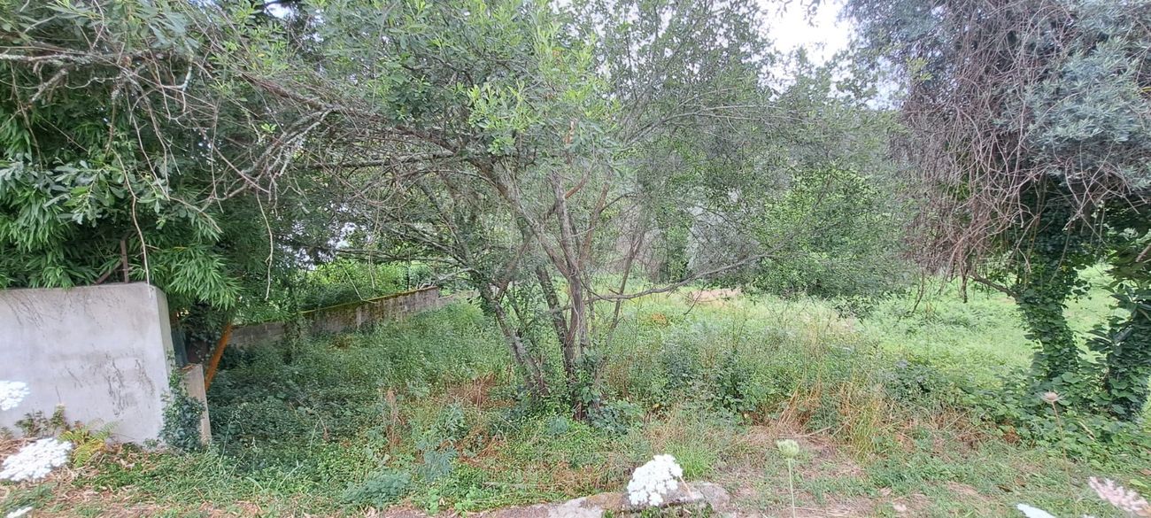  Land in Macinhata do Vouga, Portugal No. 86250