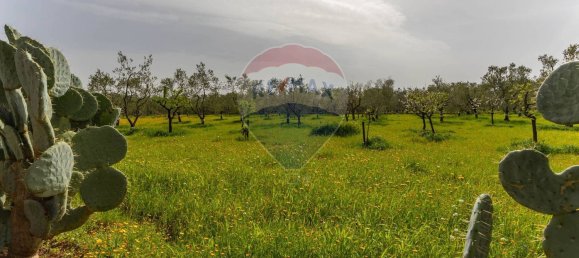 7غرفة فيلا في Corato, Italy رقم 184058 35