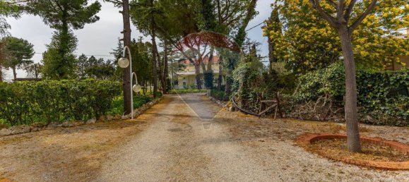 7غرفة فيلا في Corato, Italy رقم 184058 38