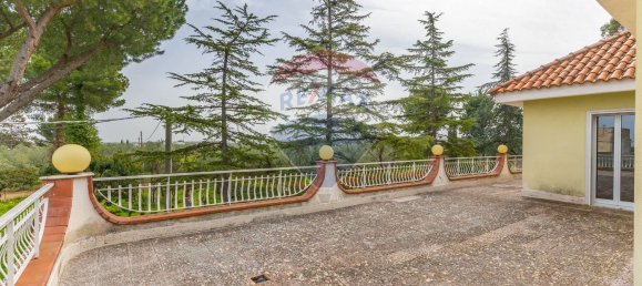 7غرفة فيلا في Corato, Italy رقم 184058 27