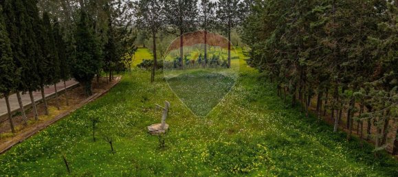 7غرفة فيلا في Corato, Italy رقم 184058 26