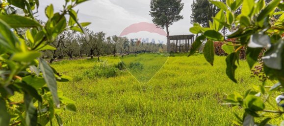 7غرفة فيلا في Corato, Italy رقم 184058 37