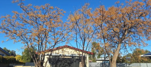 2 غرف نوم منزل في Tottenham, Australia رقم 67 8