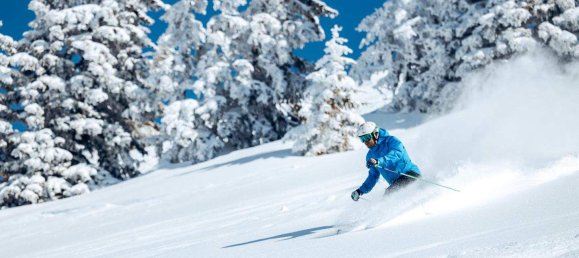 Земельный участок в Штадль-Предлиц, Австрия № 154448 6