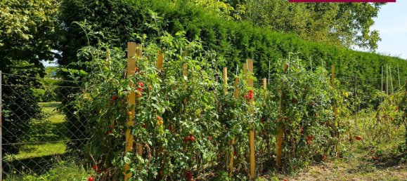 4-salle Maison à Feldbach, Austria No. 241861 18