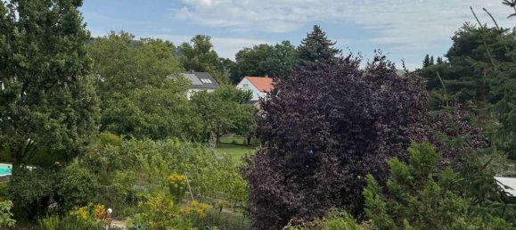 1 chambre Appartement à Radebeul, Germany No. 320327 2