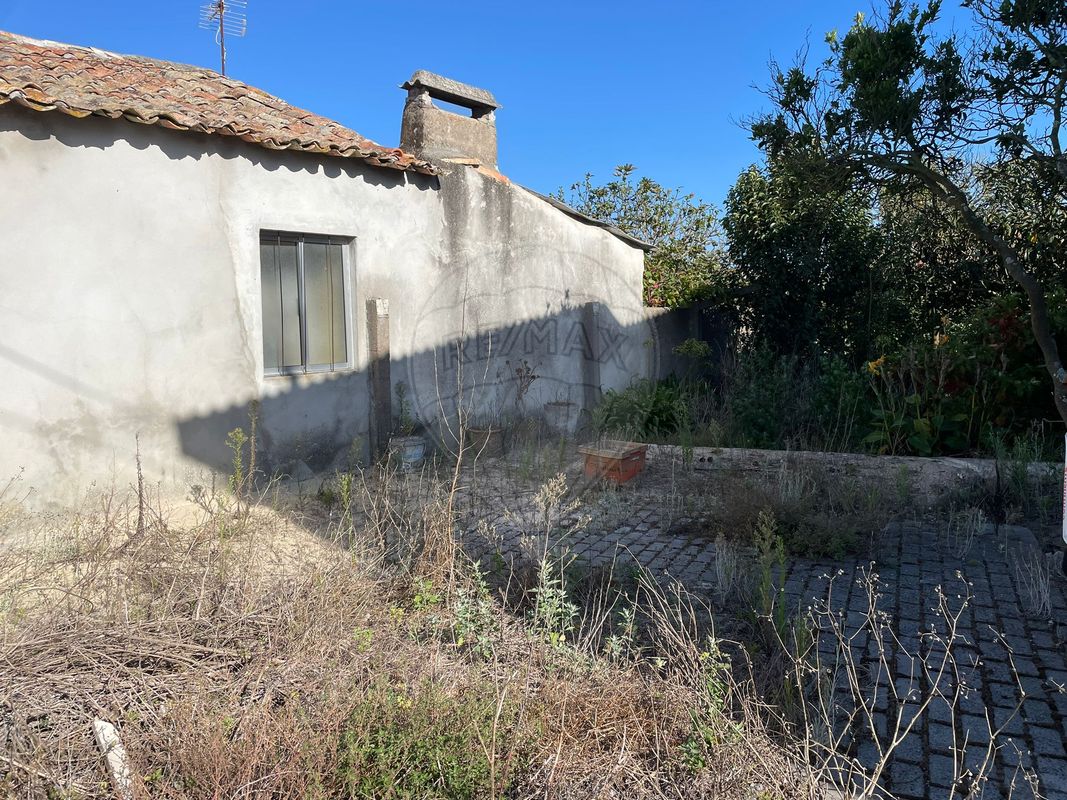 4 bedrooms House in Vieira de Leiria, Portugal No. 19872