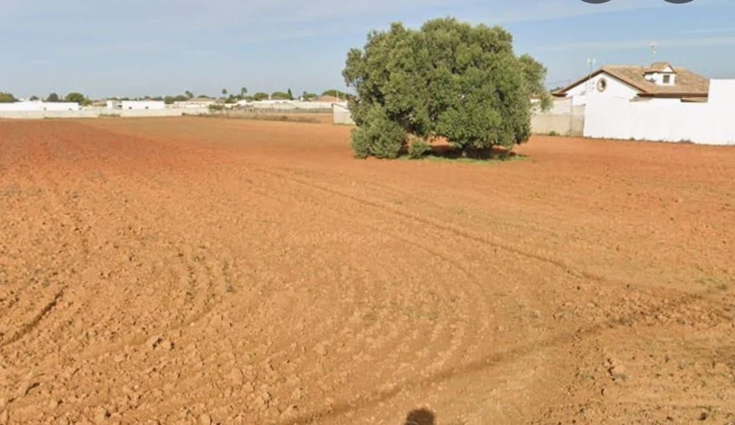  Land in Cadiz, Spain No. 231858