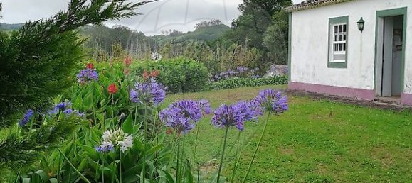 Casa de 2 dormitorios en Vila do Porto, Portugal No. 45026 7