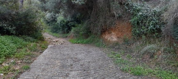 Hotel em Chalkidiki, Greece 2704 m² N.º 3790 5