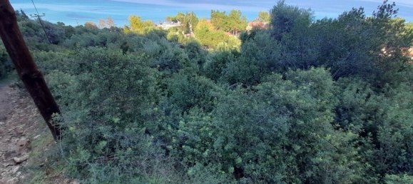  فندق في Chalkidiki, Greece 2704متر مربع رقم 3790 4
