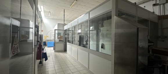 1760m² Commercial property in Udine, Italy No. 372622 11