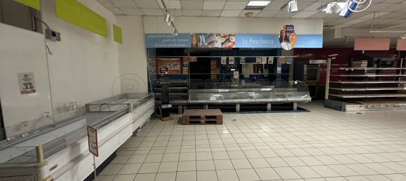 1760m² Commercial property in Udine, Italy No. 372622 5