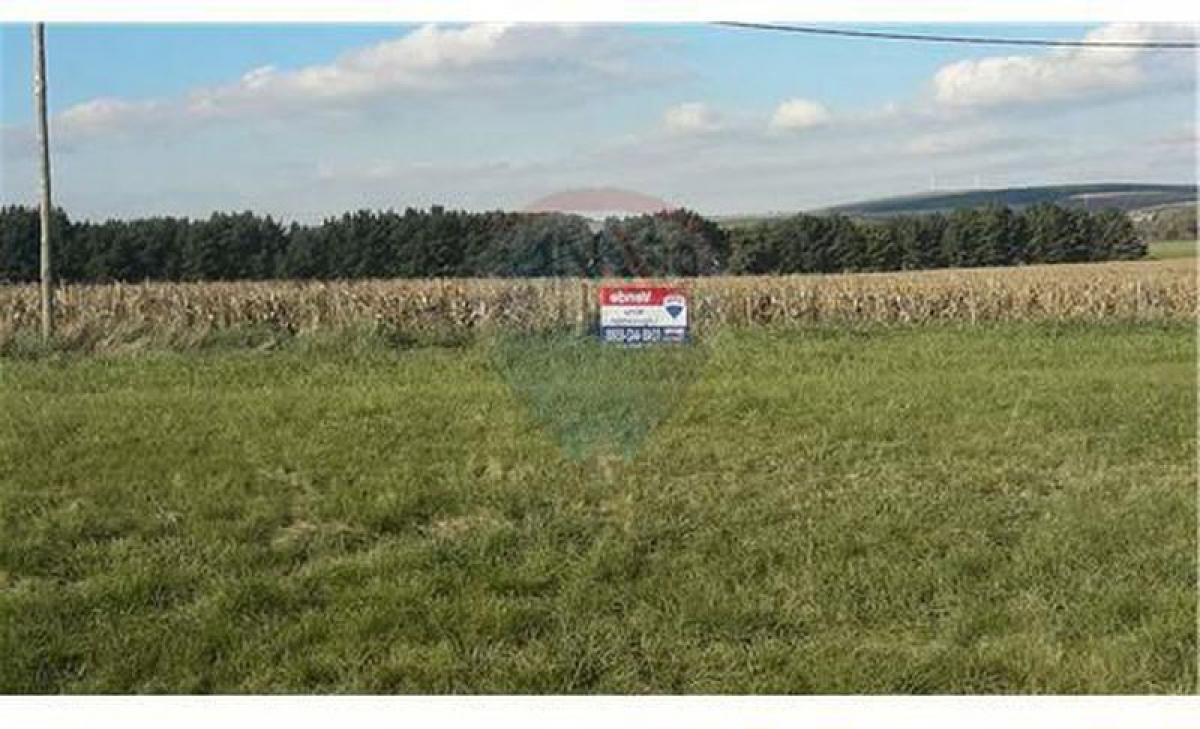  قطعة أرض في Tandil, Argentina رقم 42909