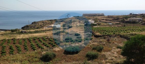 3 rooms Villa in Pantelleria, Italy No. 119479 3