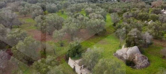 4 rooms House in Ceglie Messapica, Italy No. 17533 11