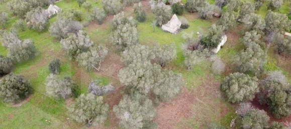 4 rooms House in Ceglie Messapica, Italy No. 17533 2